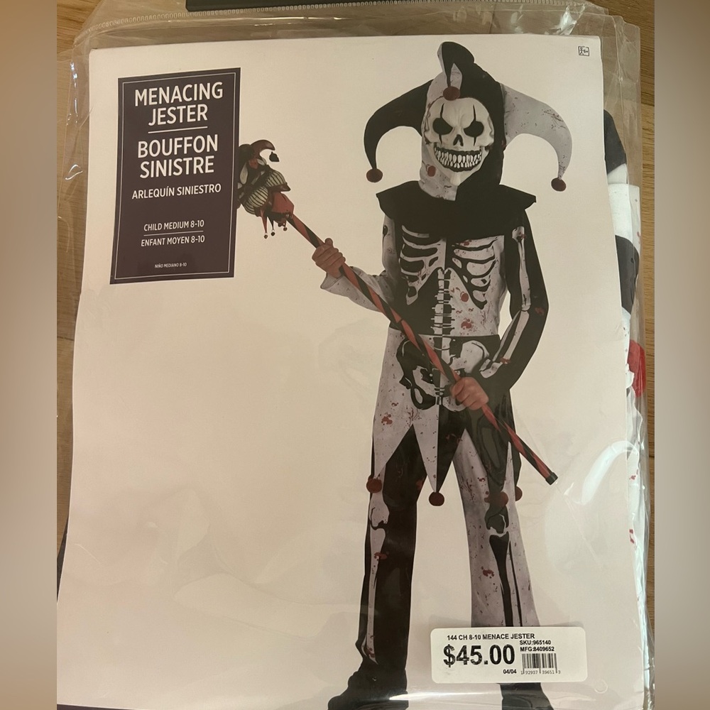 Jester Costume